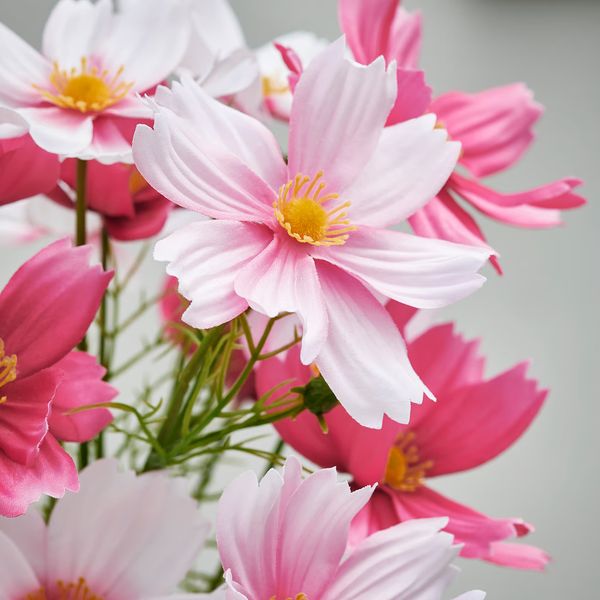 SMYCKA Искусственный букет - д/дома/улицы/космея розовый 50 см - фото 2