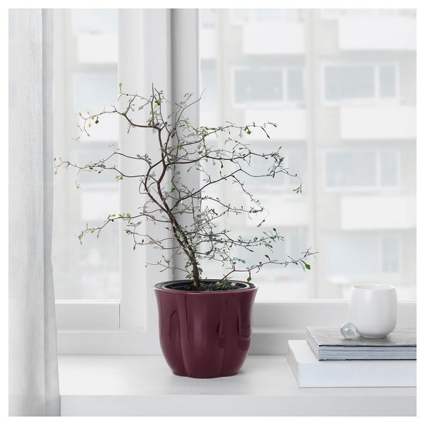 Кашпо ВИНТЕР 2018, фиолетовый - фото 2