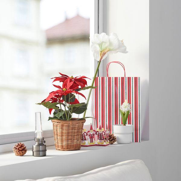 Искусственное растение в горшке IKEA VINTERFINT 605.621.39 - фото 6