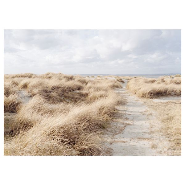 Холст, Песчаные дюны, 200x140 см IKEA BJÖRKSTA БЬЁРКСТА 004.482.41 - схема-чертеж с размерами