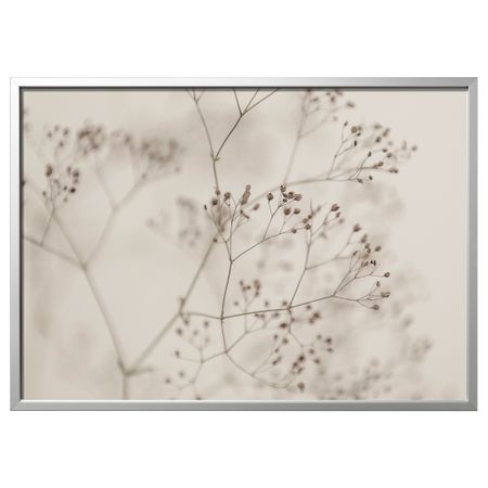 Картина с рамой, Цветы крупным планом, цвет алюминия, 140x100 см IKEA BJÖRKSTA БЬЁРКСТА 195.611.66