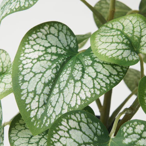 Искусственное растение в горшке, для дома, улицы Кавказская незабудка, 9 см IKEA FEJKA ФЕЙКА 105.825.02 - схема-чертеж с размерами