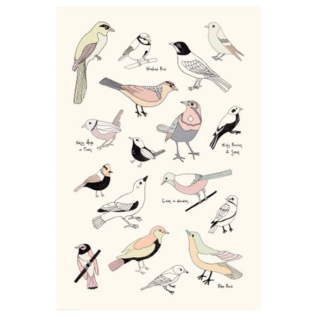 Постер, Птицы, 61x91 см IKEA DRÖMBILD ДРЁМБИЛЬД 904.417.92