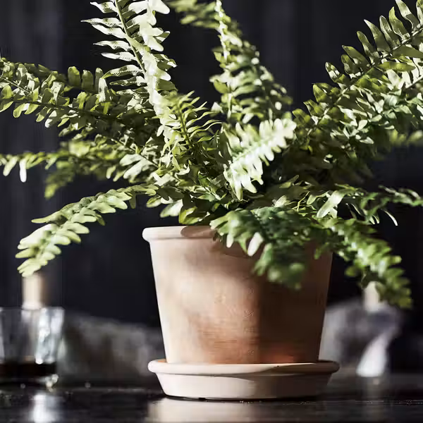 MUSKOTBLOMMA МУСКОТБЛОММА Горшок цветочный с поддоном - фото 4