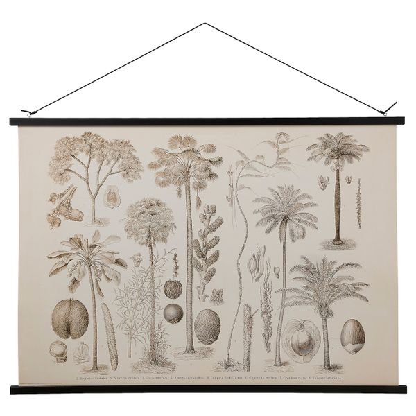 Постер с подвесом, Старинное наглядное пособие, 100x70 см IKEA ПОЛЬХУЛЬТ 304.716.78 - схема-чертеж с размерами