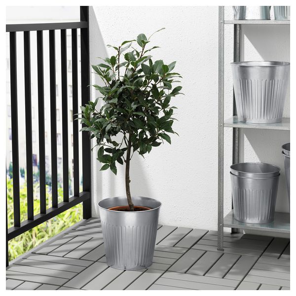 Кашпо ЦИТРОНМЕЛИСС, д/дома/улицы оцинковка - фото 3