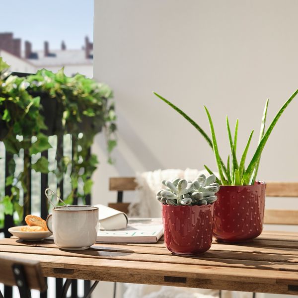 Кашпо, для дома, улицы коричнево-красный, 9 см IKEA SESAMFRÖN СЕСАМФРЁН 005.693.46 - схема-чертеж с размерами