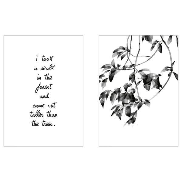 Постер, Прогулка в лесу, 50x70 см IKEA DRÖMBILD ДРЁМБИЛЬД 704.468.56 - фото 1