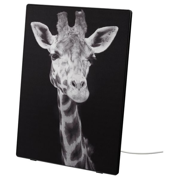 Рама для картины с Wi-Fi динамиком, черный, Крупным планом умный дом IKEA SYRLIG СИРЛИГMFONISK 195.147.16 - фото 2