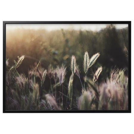 Картина с рамой, Сияющий закат, черный, 140x100 см IKEA BJÖRKSTA БЬЁРКСТА 794.167.94