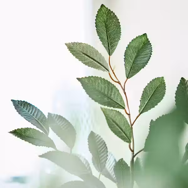 SMYCKA Цветок искусственный - схема-чертеж с размерами