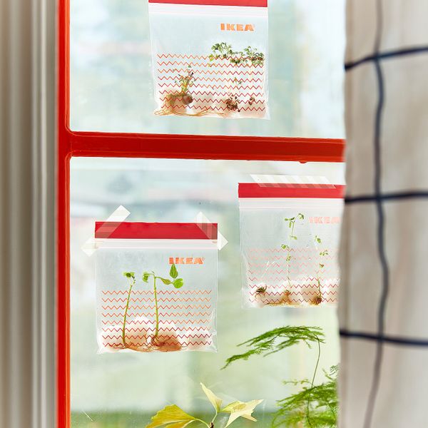 Пакет закрывающийся, красный IKEA ISTAD ИСТАД 703.749.58 - схема-чертеж с размерами