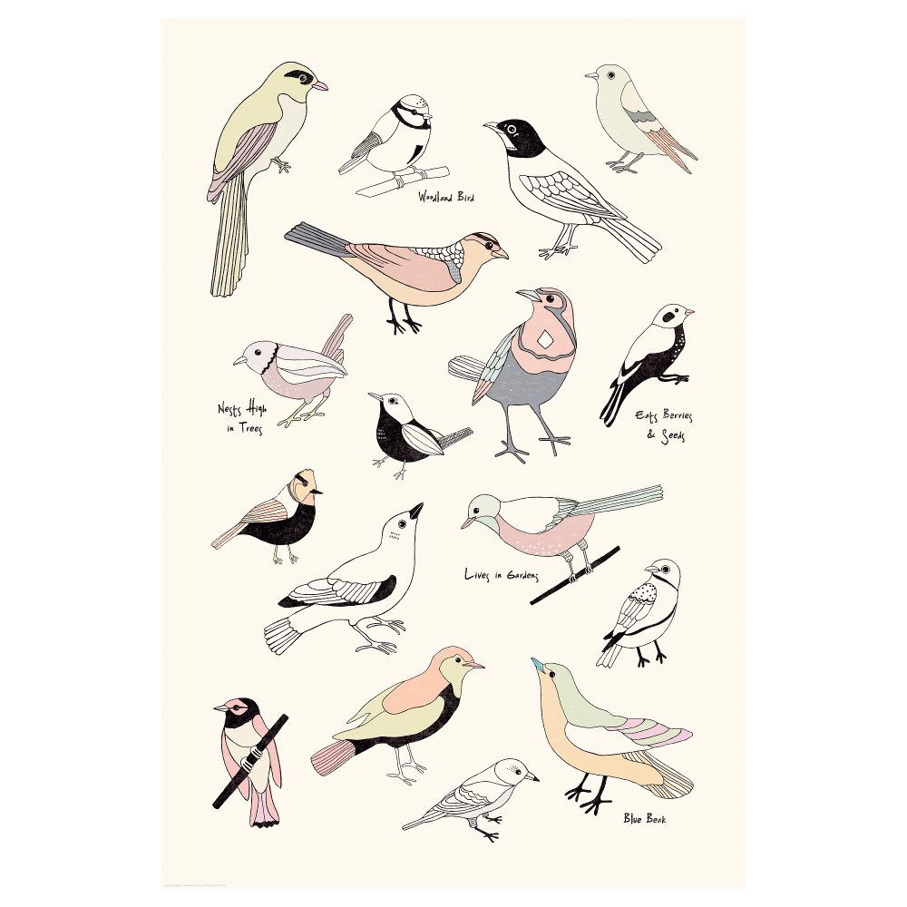 Постер БИЛЬД, Птицы (61x91 см) - схема-чертеж с размерами