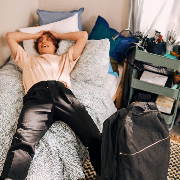 Спортивная сумка на колесиках IKEA FÖRENKLA ФОРЕНКЛА 803.667.31 - схема-чертеж с размерами