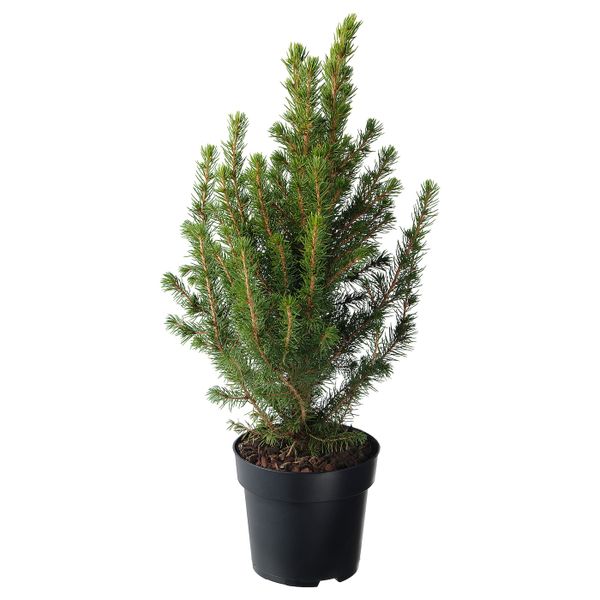 IKEA, дополнительный ракурс - схема-чертеж с размерами