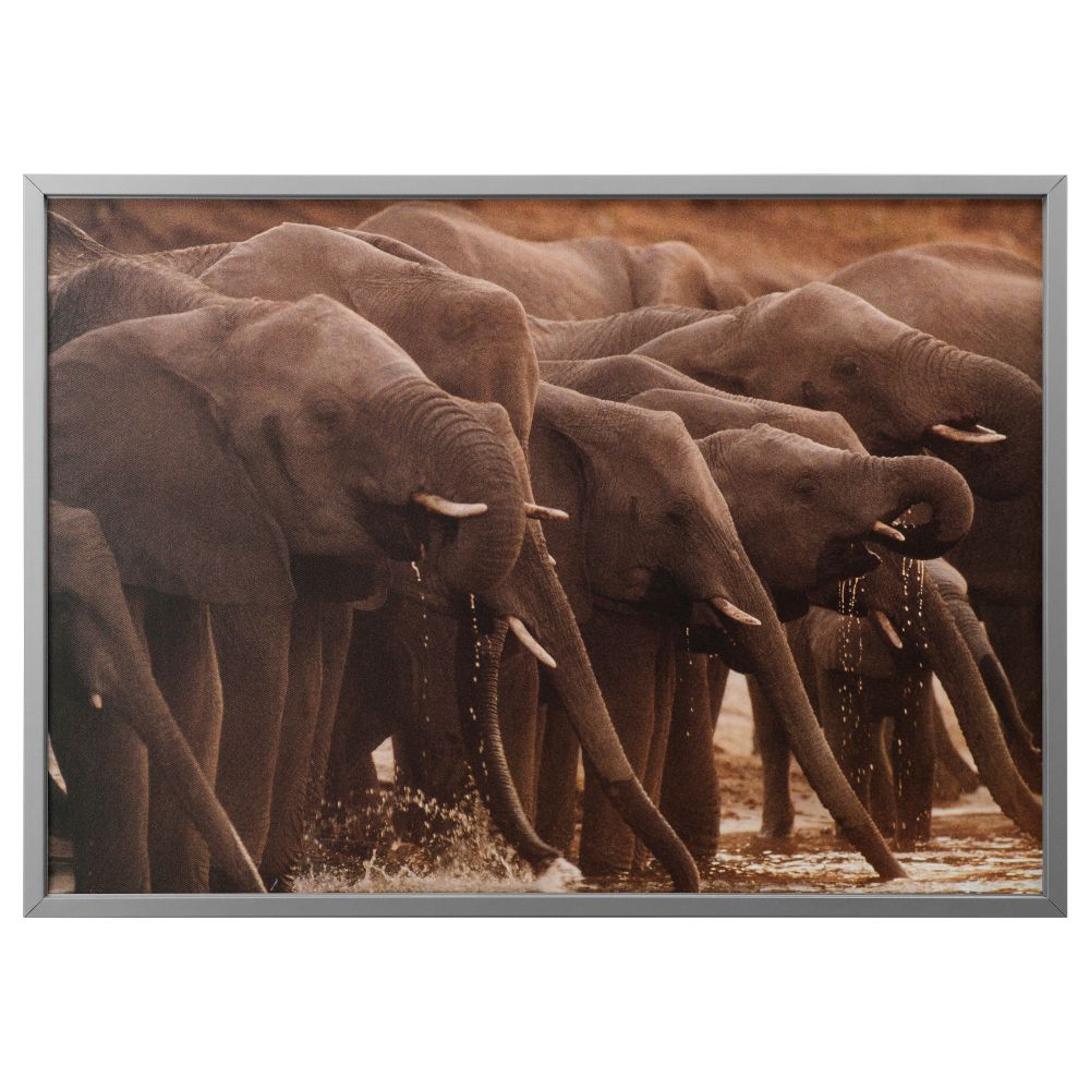 Картина с рамой БЬЁРКСТА, Африканские слоны, цвет алюминия (140x100 см) - фото 1