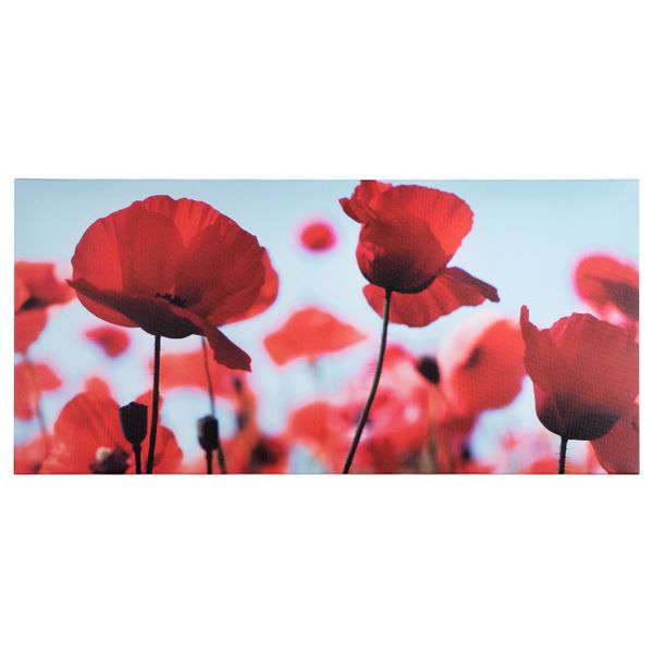 Картина, Маковое поле II, 120x56 см IKEA ПЬЕТТЕРИД 903.645.19 - фото 1