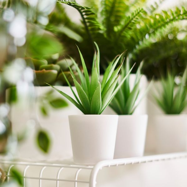 Полка навесная, 60x20 см, белый IKEA SVENSHULT СВЕНСХУЛЬТ 803.999.01 - фото 4