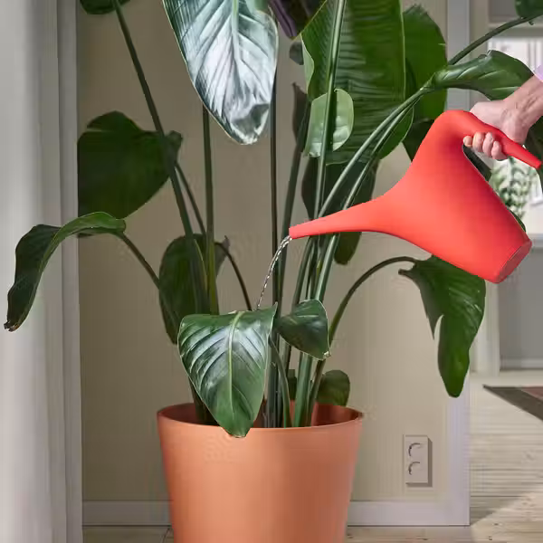 IKEA PS 2002 Лейка - ярко-красный 1.2 л - схема-чертеж с размерами