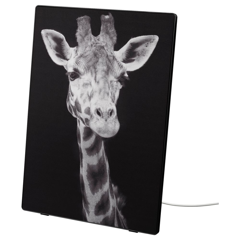 Рама для картины с Wi-Fi динамиком, черный, Крупным планом умный дом IKEA SYRLIG СИРЛИГMFONISK 195.147.16 - фото 1