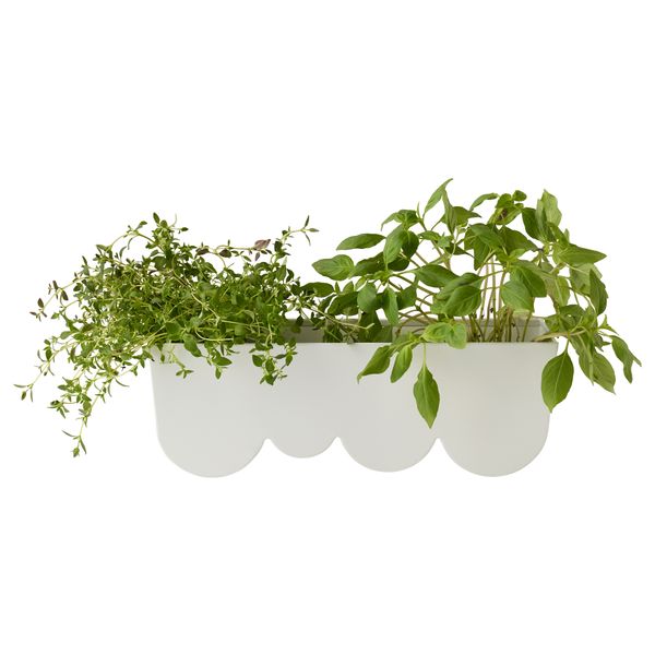 Кашпо ЭГГПЛАНТА, белый (35x11 см) - фото 4
