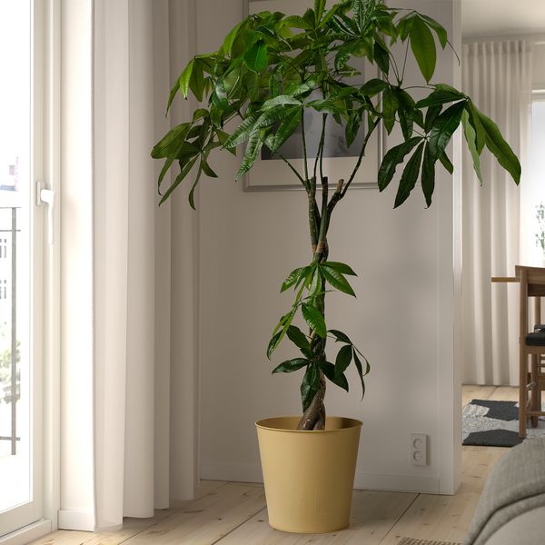 Кашпо, для дома, улицы желтый, 32 см IKEA ÅKERBÄR 905.613.22 - фото 5