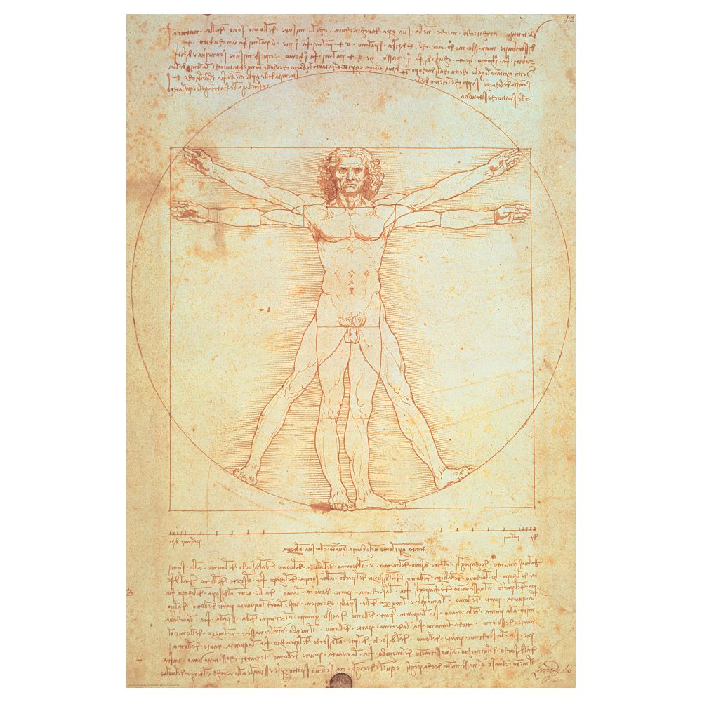 Постер, Витрувианский человек, 61x91 см IKEA DRÖMBILD ДРЁМБИЛЬД 804.418.44 - фото 1