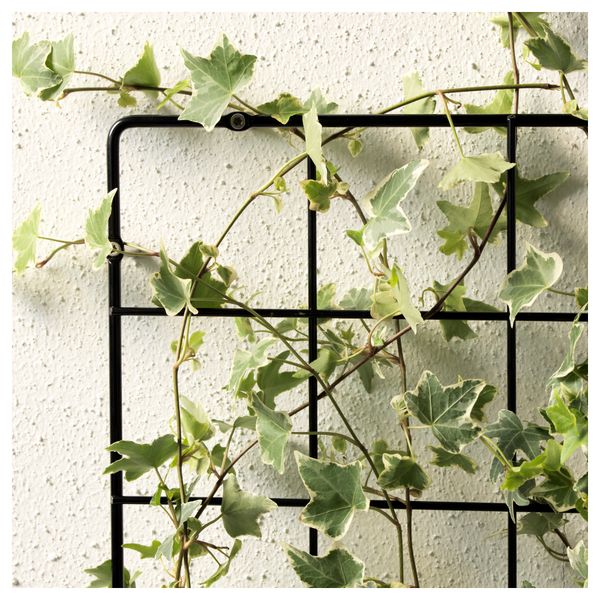 Шпалера БАРСЭ, квадраты, черный (36x75 см) - схема-чертеж с размерами