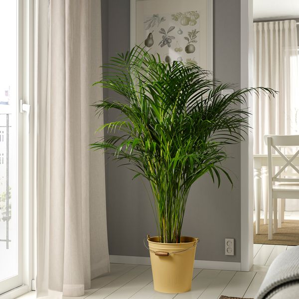 Ведро-горшок, для дома, улицы желтый, 10 л IKEA ÅKERBÄR 305.613.20 - фото 4