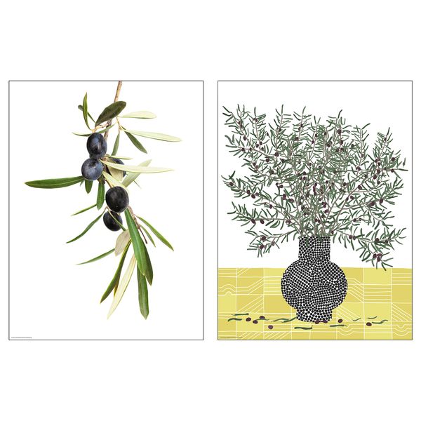 Постер, 30x40 см, Ветка оливы IKEA DRÖMBILD ДРЁМБИЛЬД 005.365.01 - фото 2