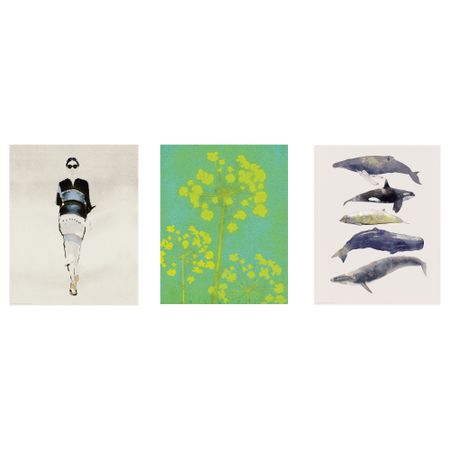 Набор постеров, 3 штуки ТРИЛЛИНГ, попурри (40x50 см)