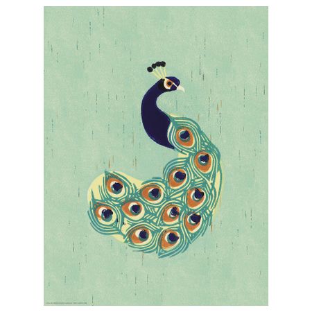 Постер, Павлин, 30x40 см IKEA DRÖMBILD ДРЁМБИЛЬД 204.361.00