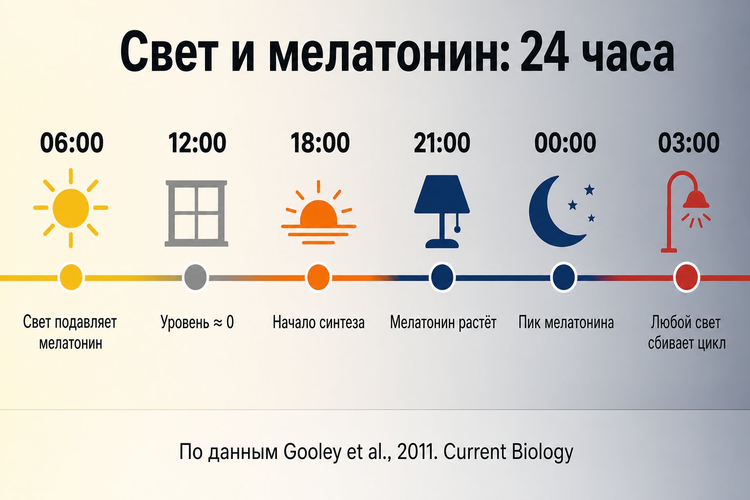 Инфографика: таймлайн влияния света на мелатонин — от подавления днём до пика ночью