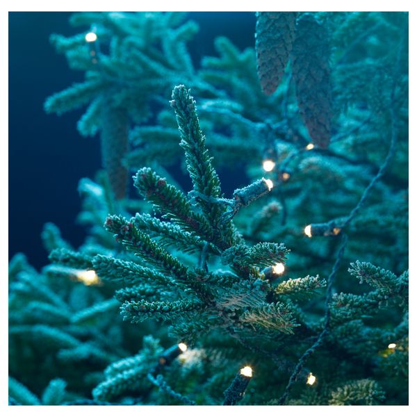 Ароматическая свеча в стакане ВИНТЕР 2016, Рождественская елка серебристый (9 см) - фото 2