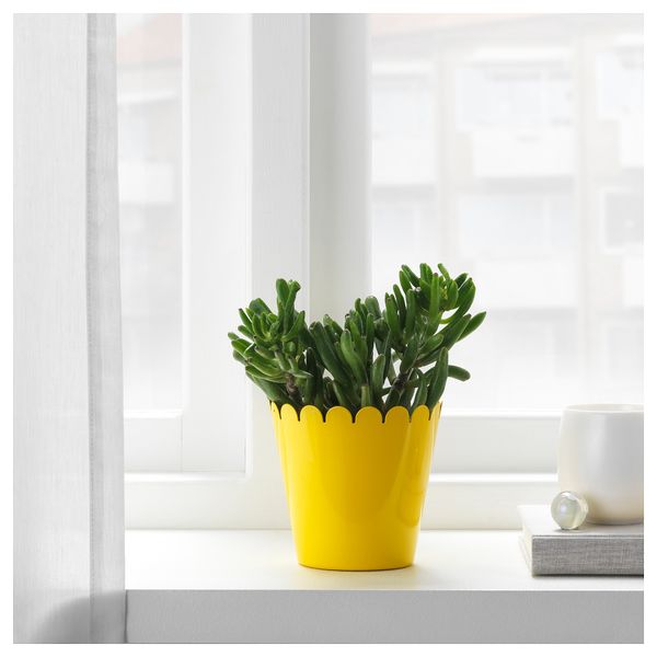Кашпо СОММАР 2019, д/дома/улицы желтый (9 см) - фото 2