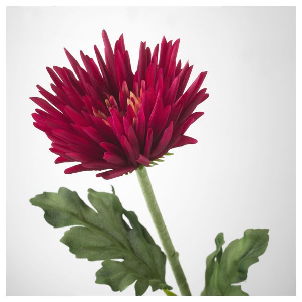 Цветок искусственный СМИККА, Хризантема, красный (55 см) - схема-чертеж с размерами