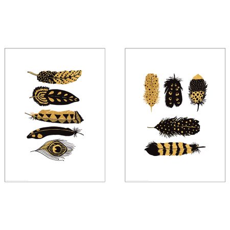 Постер, Коллекция перьев, 30x40 см IKEA DRÖMBILD ДРЁМБИЛЬД 204.361.43