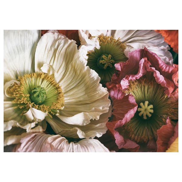 Картина, 100x70 см, Увядающая красота IKEA PJÄTTERYD ПЬЕТТЕРИД 705.681.07 - фото 2