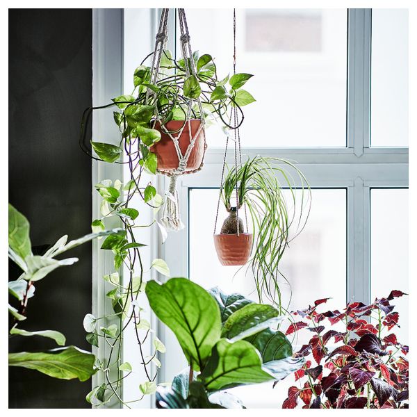 Кашпо подвесное, терракота ручная работа 9 см IKEA БОТАНИСК 504.665.34 - фото 3