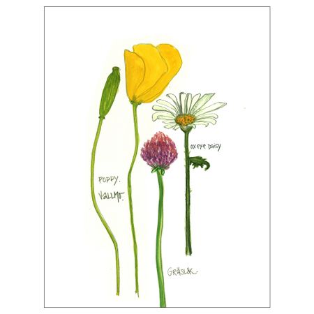 Постер, Цветы II, 30x40 см IKEA DRÖMBILD ДРЁМБИЛЬД 504.361.13