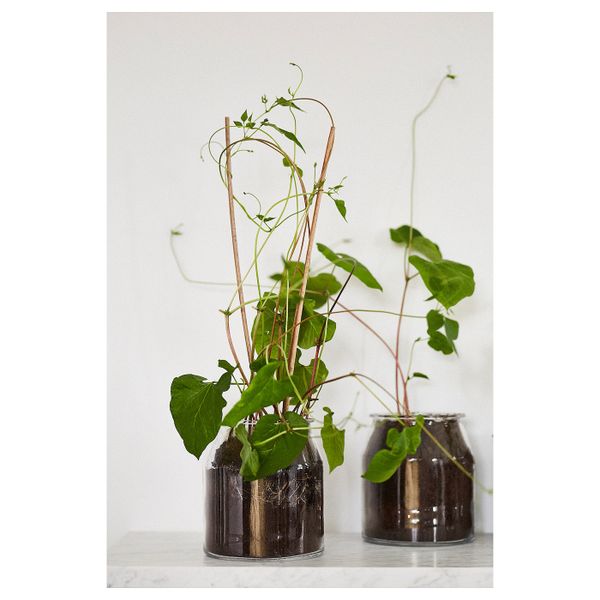 Банка, круглой формы/стекло 3.3 л IKEA IKEA 365+ ИКЕА/365+ 503.932.55 - фото 4