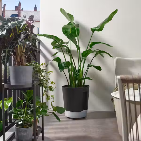 VÅRDTRÄD ВОРДТРЭД Горшок с самополивом - фото 2