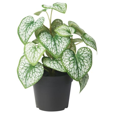 Искусственное растение в горшке, для дома, улицы Кавказская незабудка, 9 см IKEA FEJKA ФЕЙКА 105.825.02