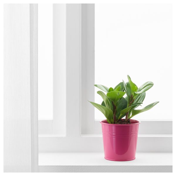 Кашпо СОККЕР, д/дома/улицы, розовый - фото 2