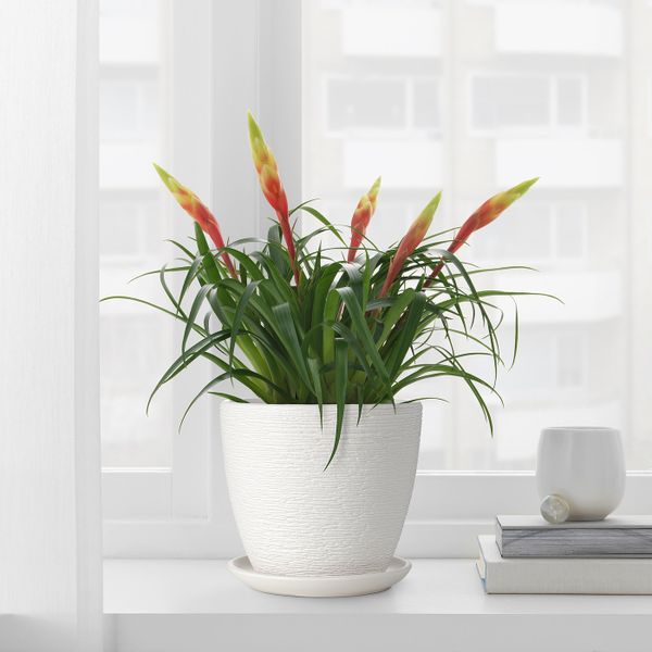 Горшок цветочный, белый 15 см IKEA SKAKIG СКАКИГ 304.313.57 - схема-чертеж с размерами