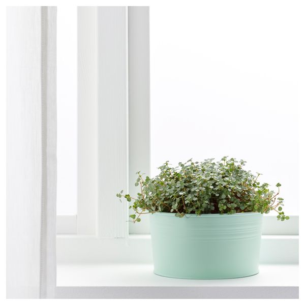 Миска СОККЕР, д/дома/улицы, светло-зеленый (20 см) - фото 2