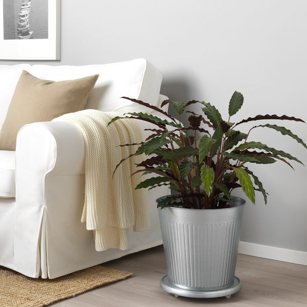 Кашпо, для дома, улицы оцинковка 32 см IKEA ЦИТРОНМЕЛИСС 704.645.05 - фото 2