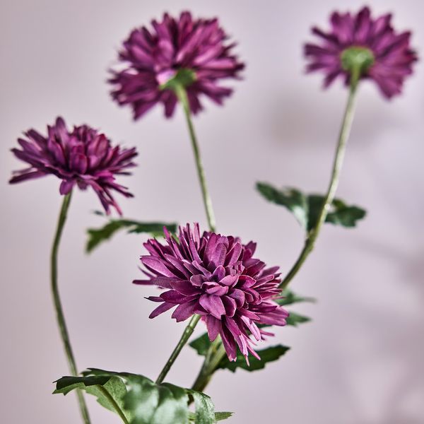 SMYCKA Цветок искусственный - д/дома/улицы Хризантема/сиреневый 71 см - схема-чертеж с размерами