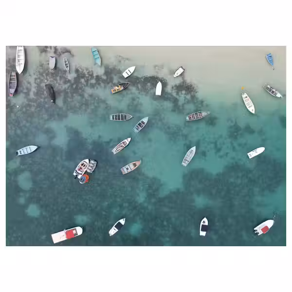 PJÄTTERYD Картина - Вид сверху 70x50 см - фото 1