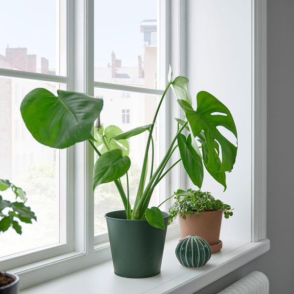 Кашпо, для дома, улицы, темно-зеленый, 15 см IKEA ÅKERBÄR 205.627.68 - фото 3